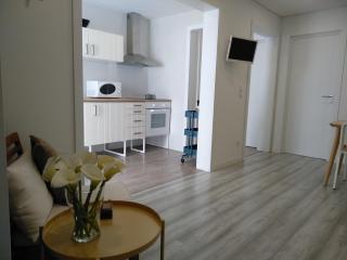 Casas do Pedro T1 - Vila Praia de Âncora - 3