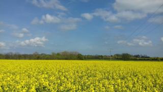 Meyers Veranda - Zingst - 7