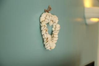 Seashells - 8
