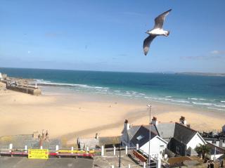 Golden Hind - St Ives - 0