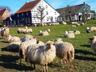 Hotel,Herberg & Appartementen de Smidse - Epen - 2