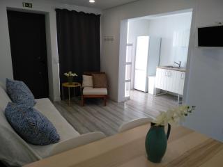 Casas do Pedro T1 - Vila Praia de Âncora - 6