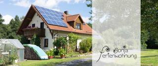 Ferienwohnung Sonja mit Westbalkon - Neualbenreuth - 2