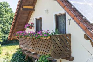 Ferienwohnung Sonja mit Westbalkon - Neualbenreuth - 7