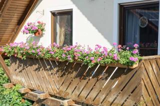 Ferienwohnung Sonja mit Westbalkon - Neualbenreuth - 4
