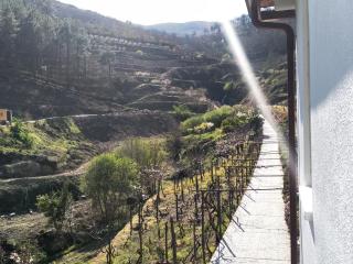 Casa da Quinta do Porto - Lamego - 7