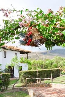 VoyAca Hotel - Alfareria - 8