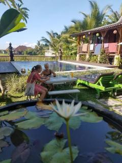 Green Paddy Hostel & Villa - Ubud - 6