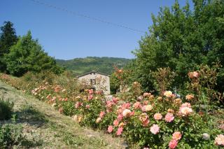 Agriturismo Corte Dei Mori - Brisighella - 4