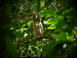 Gurubeula Leisure As You Wish - 7