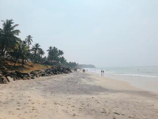 Satta Beach Deluxe - Varkala - 2