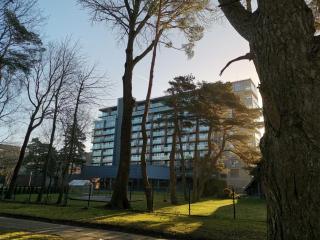 Apartamentai "Žvilgsnis į jūrą" - Palanga - 9