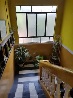 Vamoose Madhumita Homestay - Guwahati - 1