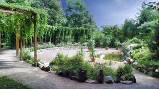 Harzer Feriengarten - Quedlinburg - 4