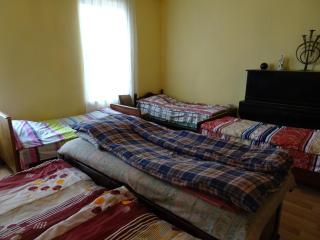 Medico and Suliko Guest House - 1
