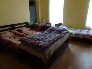 Medico and Suliko Guest House - Kutaisi - 2