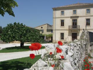 Domaine Saint Martin - Valliguières - 2