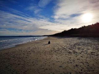 Ferienquartier Kronenfeld - 9