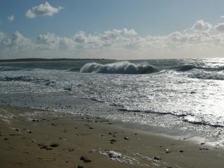 Hôtel de la Petite Plage - Saint-Georges-d'Oléron - 6
