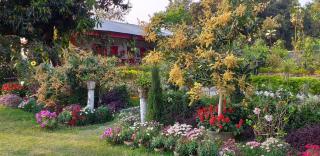 Atmaja The Cottage Garden Under Tourism Department Government of West Bengal - 2