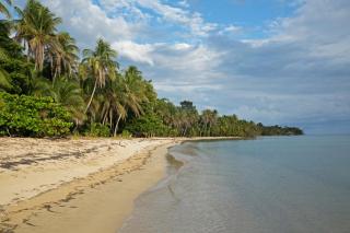 Residencia Natural - Bocas del Toro - 7