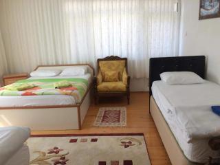Sehsuvar Peace Pension - Egirdir - 5