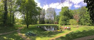 Harzer Feriengarten - Quedlinburg - 8