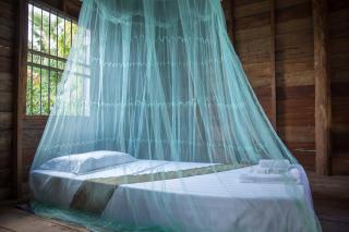 Chansor Community Homestay 14 - Phumĭ Trach Pôk (2) - 2