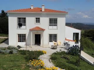 Villa à Caldas da Rainha avec terrasse et barbecue - Caldas da Rainha - 0