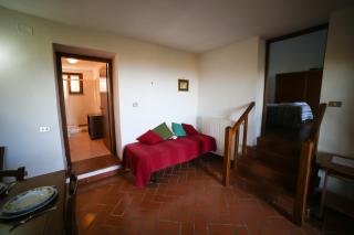Agriturismo Bellavista apt La Pergola - Castagneto Carducci - 6