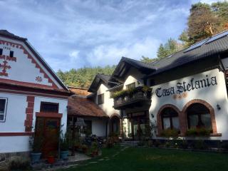 Casa Stefania - Tălmăcel - 6