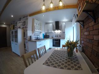 Apartamenty pod Dzikowcem - Boguszów-Gorce - 4