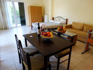 Angela apartments - Lefkada - 3