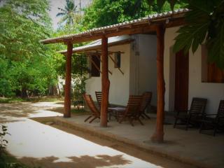 Dolce Vita Surf Rest Point - 8