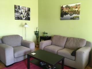 Studio along the Danube - Budapest - 3
