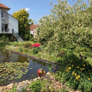 Ferienwohnung Maurer - Hasborn-Dautweiler - 0
