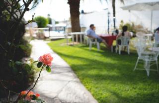 Hotel Los Aromos - 3
