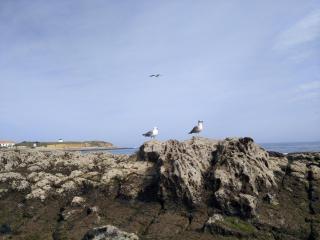 Baleal Sea House - Peniche - 9