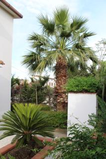 Villa Paola Holidays - Sciacca - 2