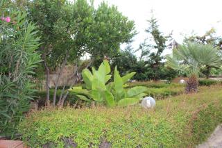 Villa Paola Holidays - Sciacca - 6