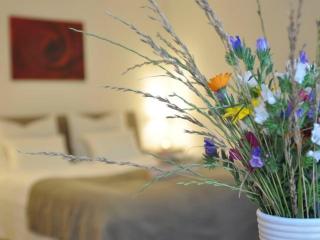 Apartment Mida - Freiburg im Breisgau - 8