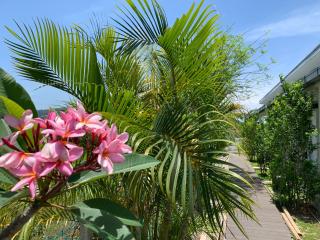 Cloud9 Holiday Cottages - Pantai Cenang - 6