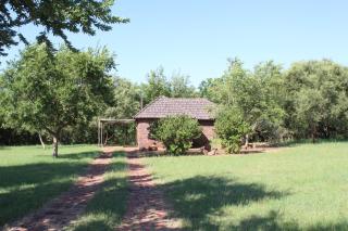 Little Swift Chalets - Kophou - 3