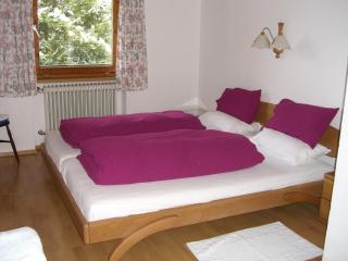 Kaiserhof - Alpbach - 5