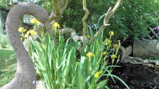 Domaine de Sault - 1