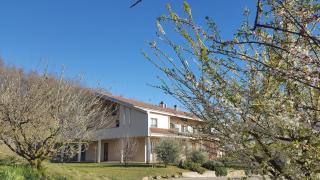 LE SETTE VIE HOLIDAY HOMES - Monforte dʼAlba - 0