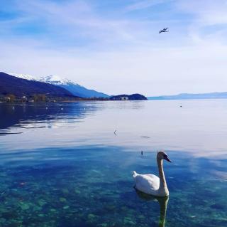 Villa Zaricin - Ohrid - 6