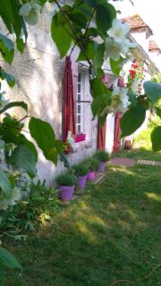 Le vol du Papillon - Treigny - 8
