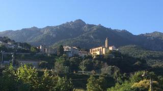 Bottega - Petreto-Bicchisano - 5