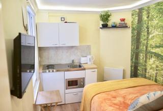 Cosy Studio in the Heart of Trendy Kemptown - Brighton & Hove - 6